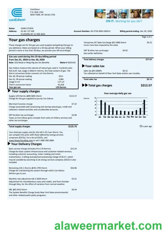 USA Con Edison gas utility bill template in Word and PDF format